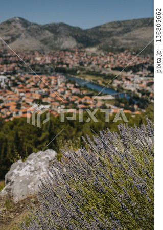 Amazing view of Trebinje city from the hill in a sunny day. Travel destination in Bosnia and Herzegovina. 136805662