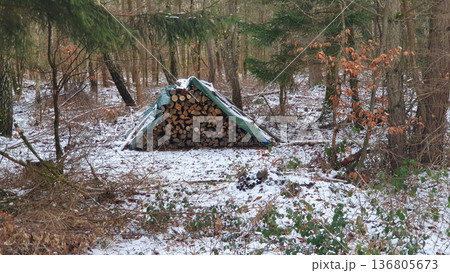 Stacked fresh firewood logs laid in a pile in winter forest. Prepared fuel for the fireplace. Cuting split wood logs unter the snow. Stacked fresh firewood logs laid in a pile in winter forest. Prepared fuel for the fireplace. Cuting split wood logs unter the snow. 136805673