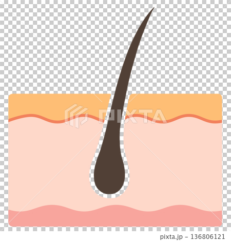 毛孔 毛孔 136806121