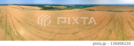Aerial landscape view of yellow cultivated agricultural field with ripe wheat on bright summer day Aerial landscape view of yellow cultivated agricultural field with ripe wheat on bright summer day 136806220