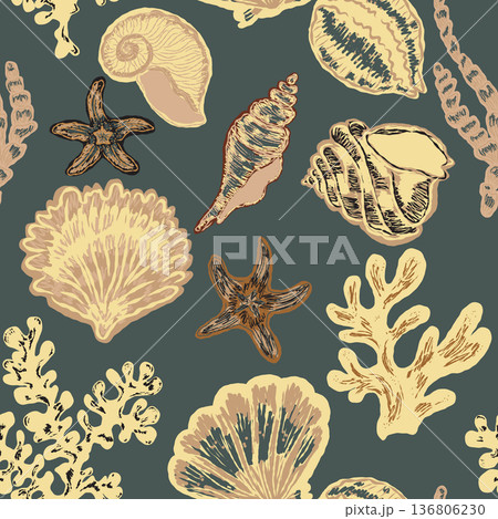 seamless pattern with sea shells 136806230
