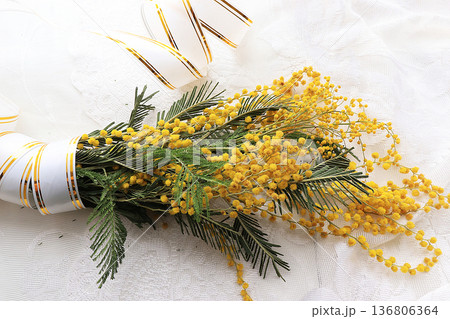 Spring flowers mimosa light background, wishes of good morning and happy women's day 136806364