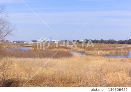 埼玉県さいたま市芝川第一調節池周辺2026年2月 136806425