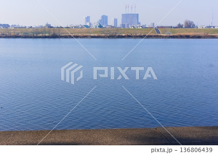 千葉県市川市里見公園周辺江戸川2026年2月 136806439