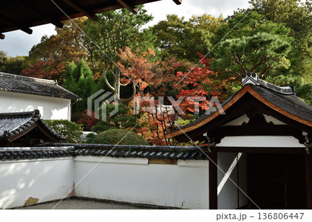 東福寺塔頭　龍吟庵　南庭　無の庭(京都市東山区) 136806447
