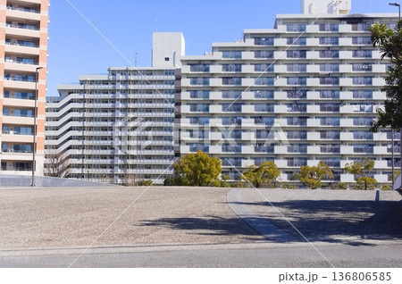 東京都江戸川区もみじ大橋周辺2026年2月 136806585