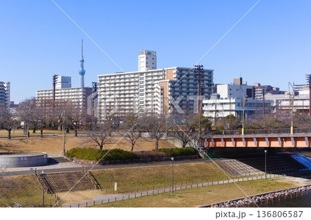 東京都江戸川区もみじ大橋周辺2026年2月 東京都江戸川区もみじ大橋周辺2026年2月 136806587