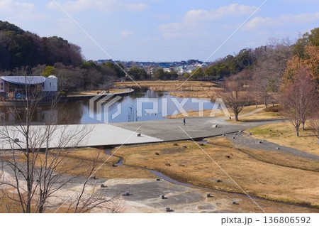 千葉県松戸市21世紀の森と広場周辺2026年2月 136806592