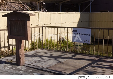 千葉県松戸市カンスケ井戸周辺2026年2月 136806593