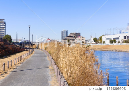 東京都江戸川区旧中川沿い2026年2月 136806608