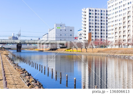 東京都江戸川区旧中川沿い2026年2月 東京都江戸川区旧中川沿い2026年2月 136806613