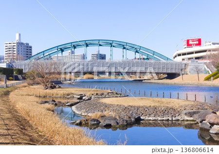 東京都江戸川区旧中川沿い2026年2月 東京都江戸川区旧中川沿い2026年2月 136806614