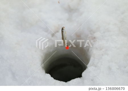 わかさぎ釣り 136806670