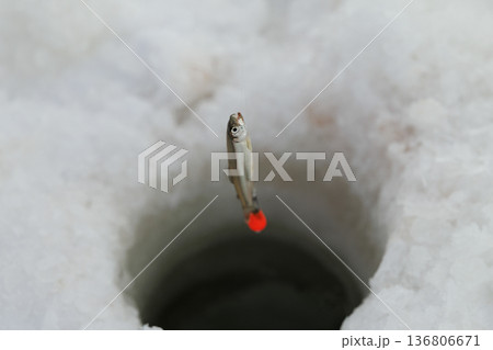 わかさぎ釣り わかさぎ釣り 136806671