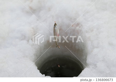 わかさぎ釣り わかさぎ釣り 136806673