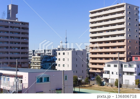 東京都江戸川区荒川河川敷2026年2月 東京都江戸川区荒川河川敷2026年2月 136806718