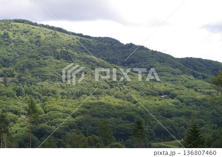 新緑に覆われた山並みの風景|初夏の高原自然素材 新緑に覆われた山並みの風景|初夏の高原自然素材 136807460