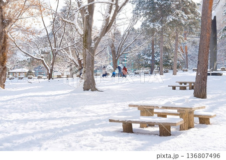 陽光きらめく雪の公園、冬の静けさと温もり 陽光きらめく雪の公園、冬の静けさと温もり 136807496
