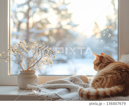 冬の窓辺でくつろぐ猫とやわらかな夕方の光 136807679