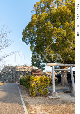 大和郡山城の柳澤神社、祖霊社付近から天守台を望む風景 大和郡山城の柳澤神社、祖霊社付近から天守台を望む風景 136807715