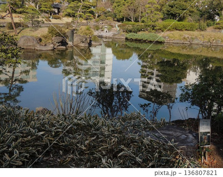 東京・墨田区】池のほとりの熊笹と安田庭園 東京・墨田区】池のほとりの熊笹と安田庭園 136807821