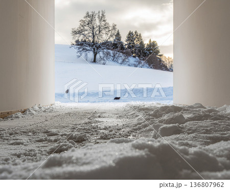冬の雪原へと続く静かな通路と小さな猫 物語を感じる情景風景 136807962