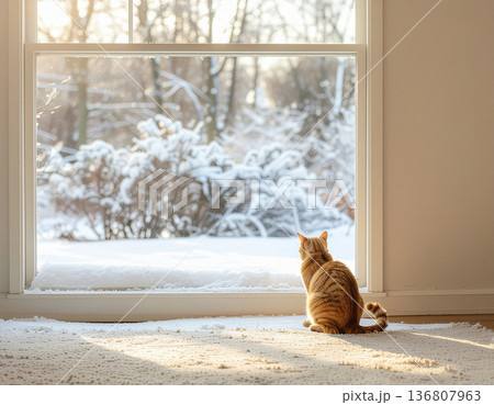 冬の夕暮れ 窓辺でくつろぐ猫とぬくもりのある室内風景 136807963