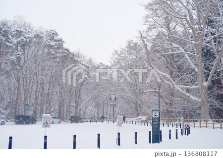 雪景色に佇むタクシー乗り場、静寂と旅立ちの瞬間 136808117