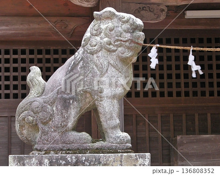 高根神社 本殿正面(2014.3.31) 狛犬｢左｣側 こちらの方が やや大きな体格に見えるようです 136808352