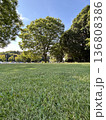 緑豊かな公園 136808386