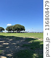 広い公園 136808479