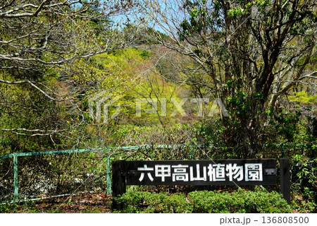 六甲高山植物園 136808500