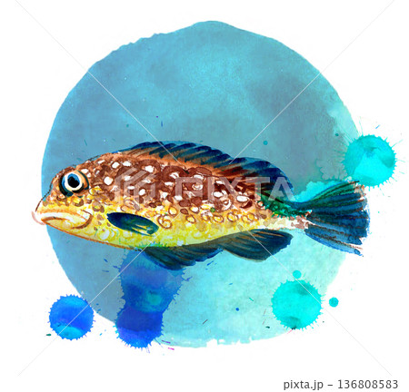 Hand-Drawn Sea Fish Illustration. Vintage Ink and Yellow Watercolor Nautical Art 136808583