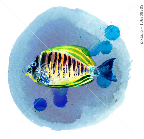 Hand-Drawn Sea Fish Illustration. Vintage Ink and Yellow Watercolor Nautical Art 136808585