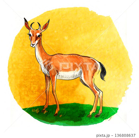 Hand-Drawn Antelope Illustration. Vintage Ink and Yellow Watercolor Safari Art 136808637