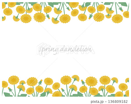 黄色い黄金のタンポポが咲くの花柄背景春のシンプルで可愛い簡易的北欧風カラーのフレームベクターイラスト 136809182