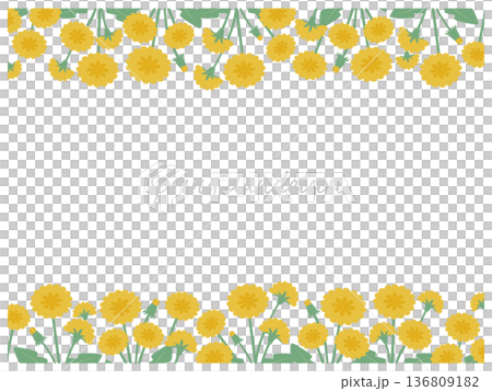 黄色い黄金のタンポポが咲くの花柄背景春のシンプルで可愛い簡易的北欧風カラーのフレームベクターイラスト 136809182