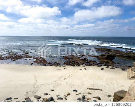 La Jolla, California, United States. Harbor seals rest on the sand at La Jolla Cove, San Diego La Jolla, California, United States. Harbor seals rest on the sand at La Jolla Cove, San Diego 136809202