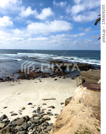 La Jolla, California, United States. Harbor seals rest on the sand at La Jolla Cove, San Diego La Jolla, California, United States. Harbor seals rest on the sand at La Jolla Cove, San Diego 136809205