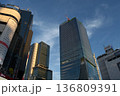 【東京・渋谷】超高層ビル群とスクランブルスケア 136809391