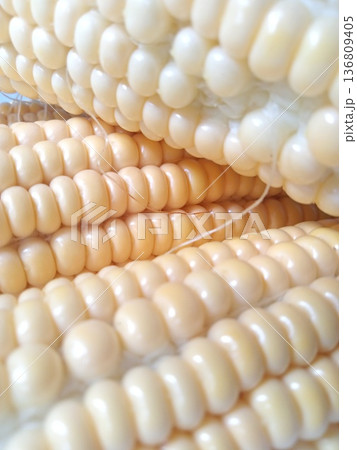 A vibrant close-up of fresh white corn cobs showcasing the perfect rows of plump, pale kernels, highlighting the natural texture and beauty of this healthy vegetable. 136809405