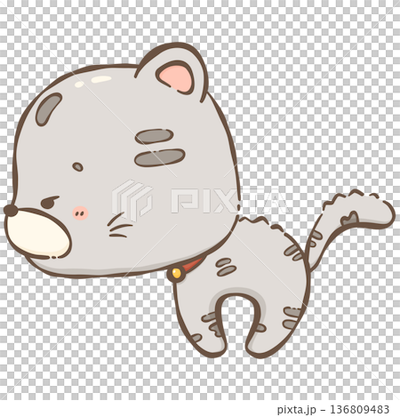 Little gray cat 136809483