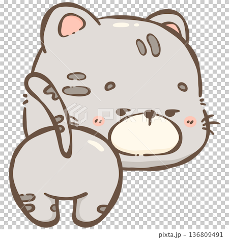 Little gray cat Little gray cat 136809491