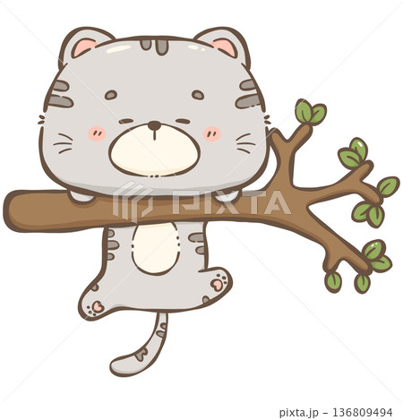 Little gray cat Little gray cat 136809494