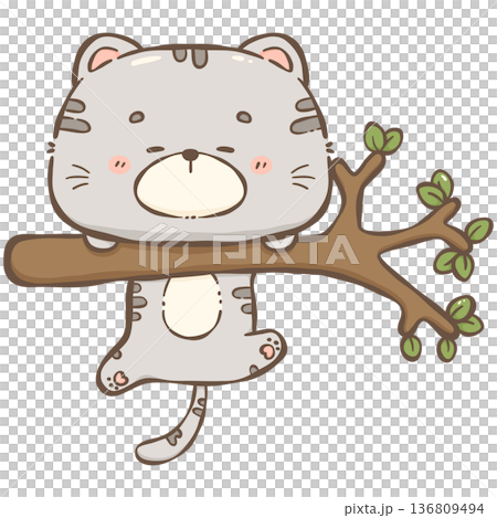 Little gray cat  136809494