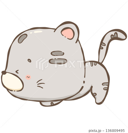 Little gray cat  136809495