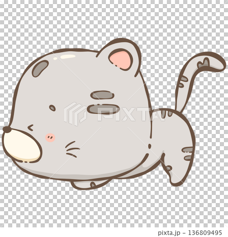 Little gray cat  136809495