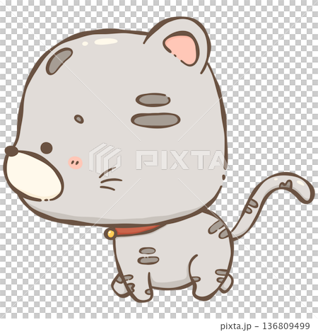 Little gray cat  136809499
