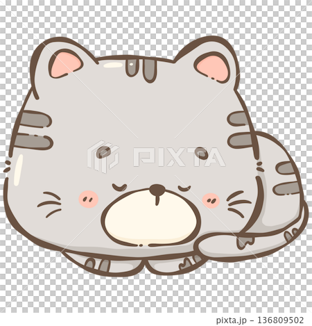 Little gray cat  136809502