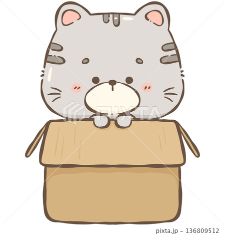 Little gray cat Little gray cat 136809512